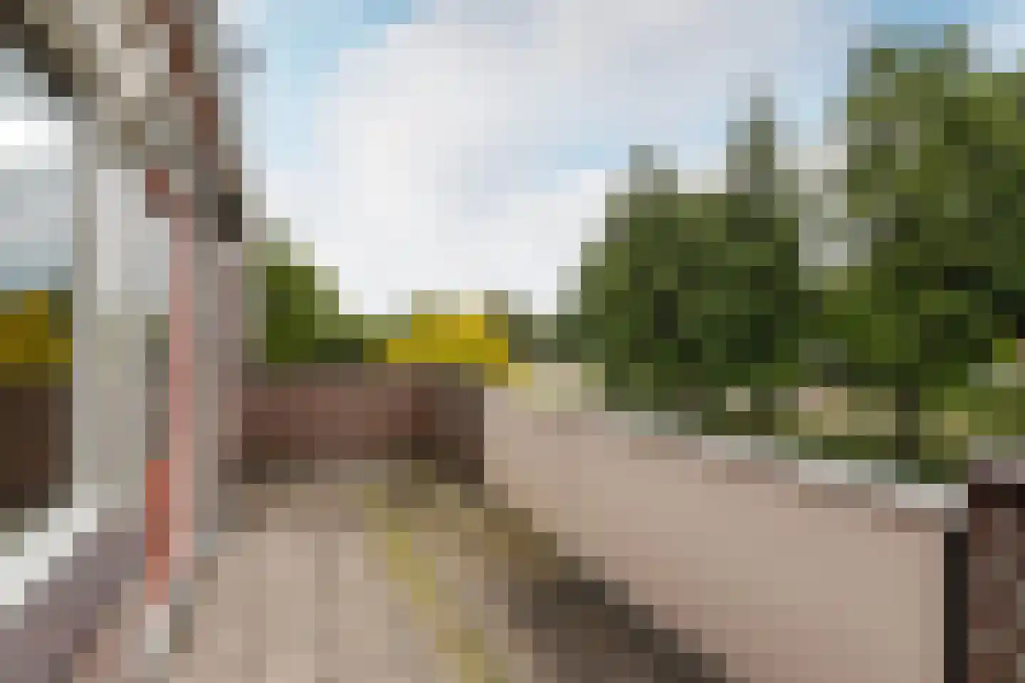 Stortemelk 51 Harderwijk thumbnail 14