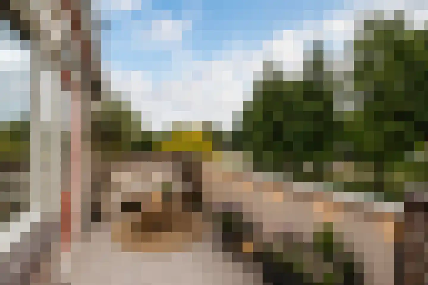 Stortemelk 51 Harderwijk thumbnail 15