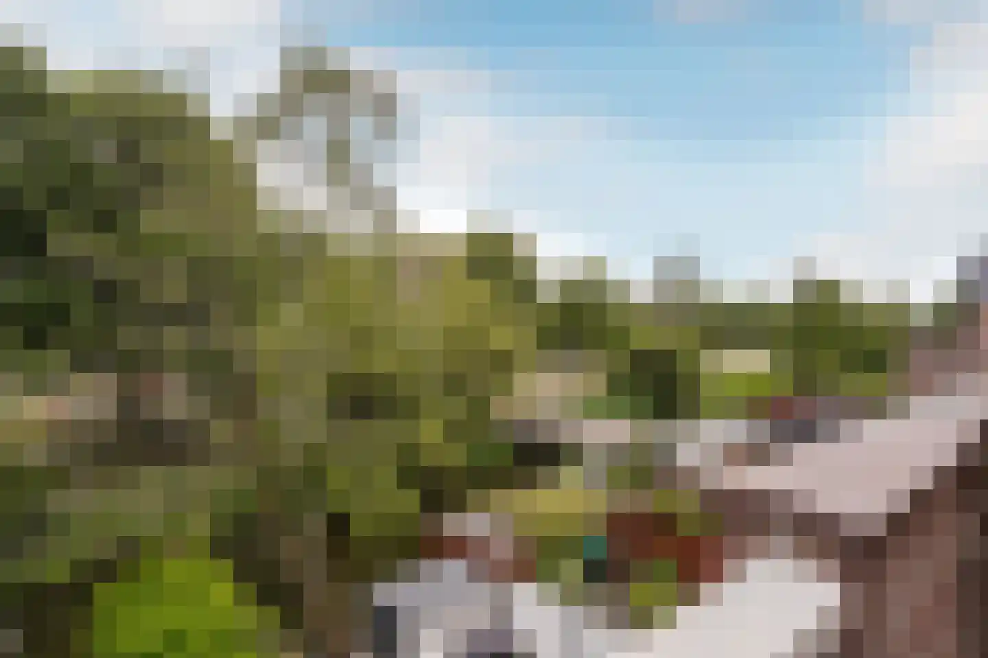 Stortemelk 51 Harderwijk thumbnail 17