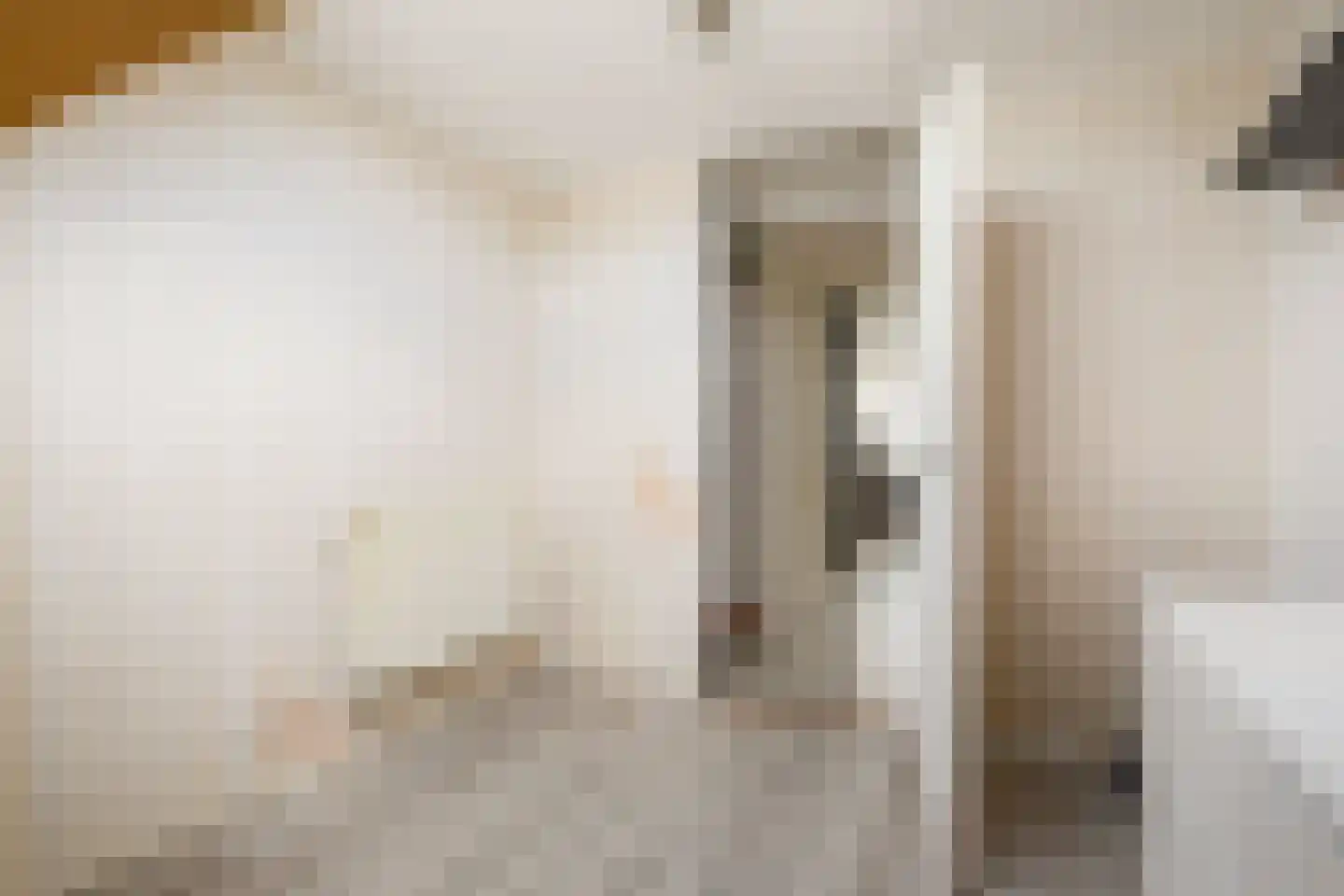 Stortemelk 51 Harderwijk thumbnail 30