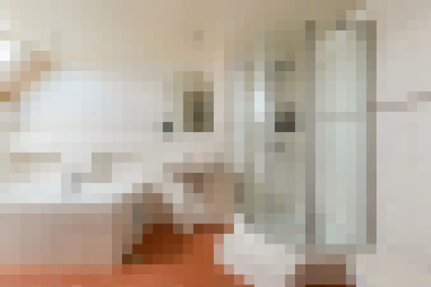 Stortemelk 51 Harderwijk thumbnail 32