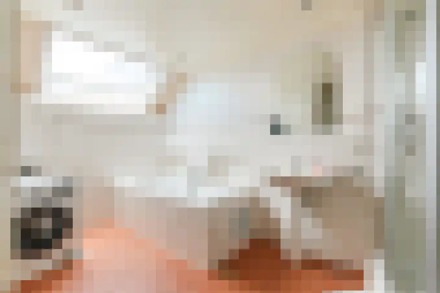 Stortemelk 51 Harderwijk thumbnail 34