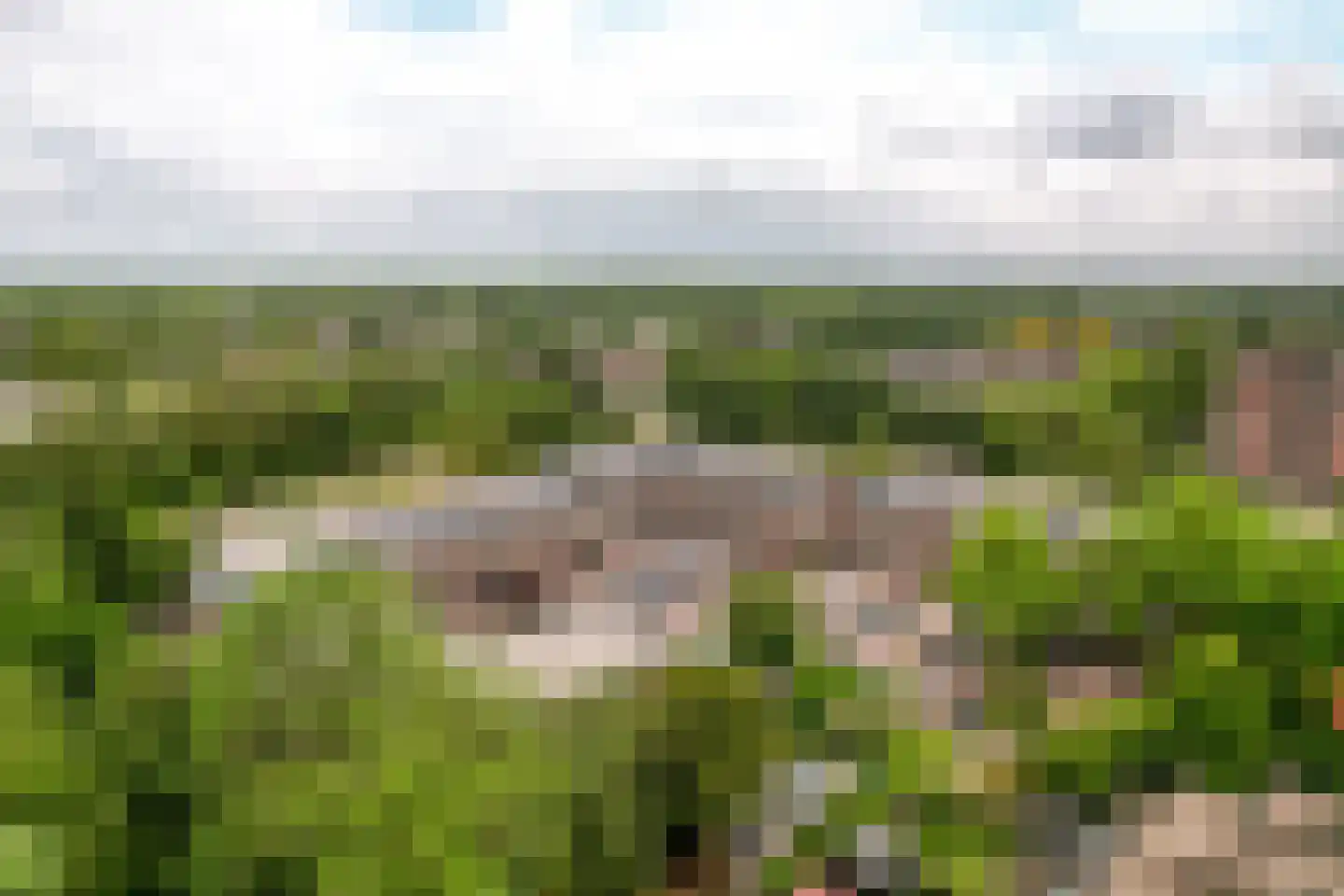 Stortemelk 51 Harderwijk thumbnail 43