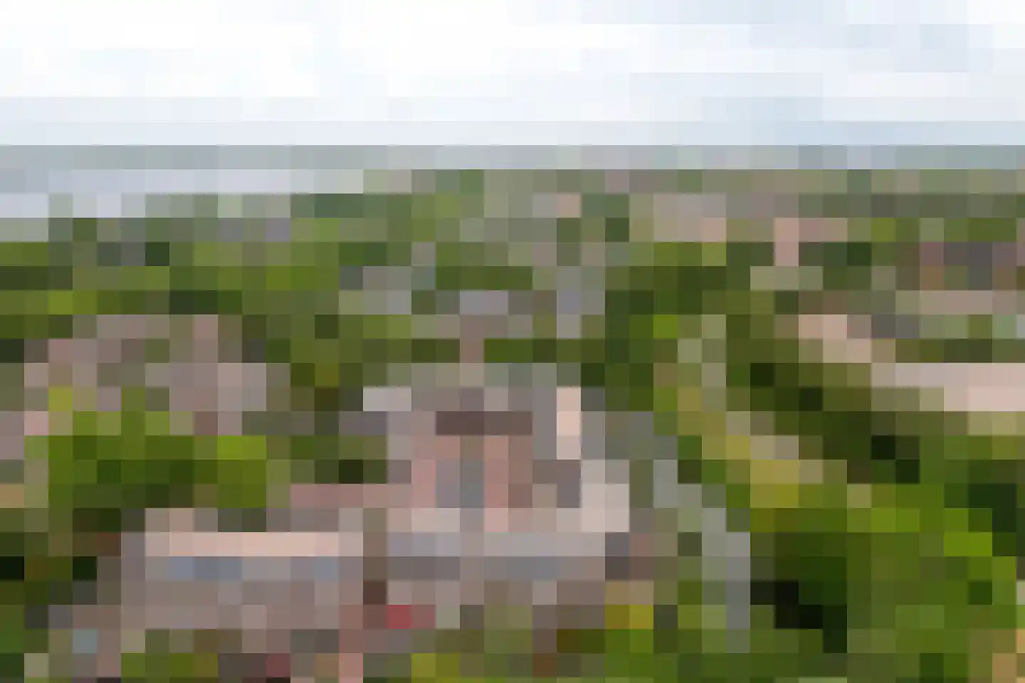 Stortemelk 51 Harderwijk thumbnail 44