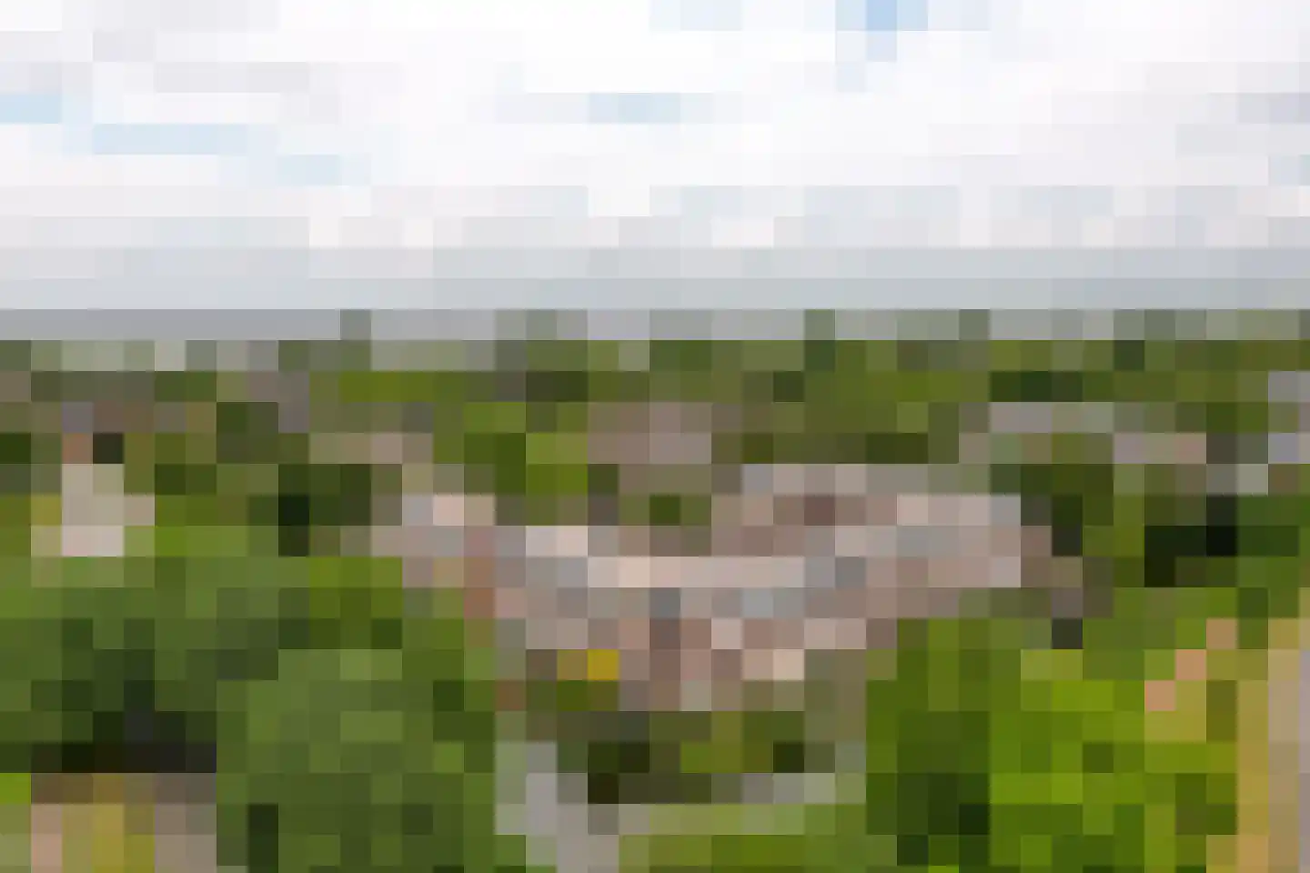 Stortemelk 51 Harderwijk thumbnail 45