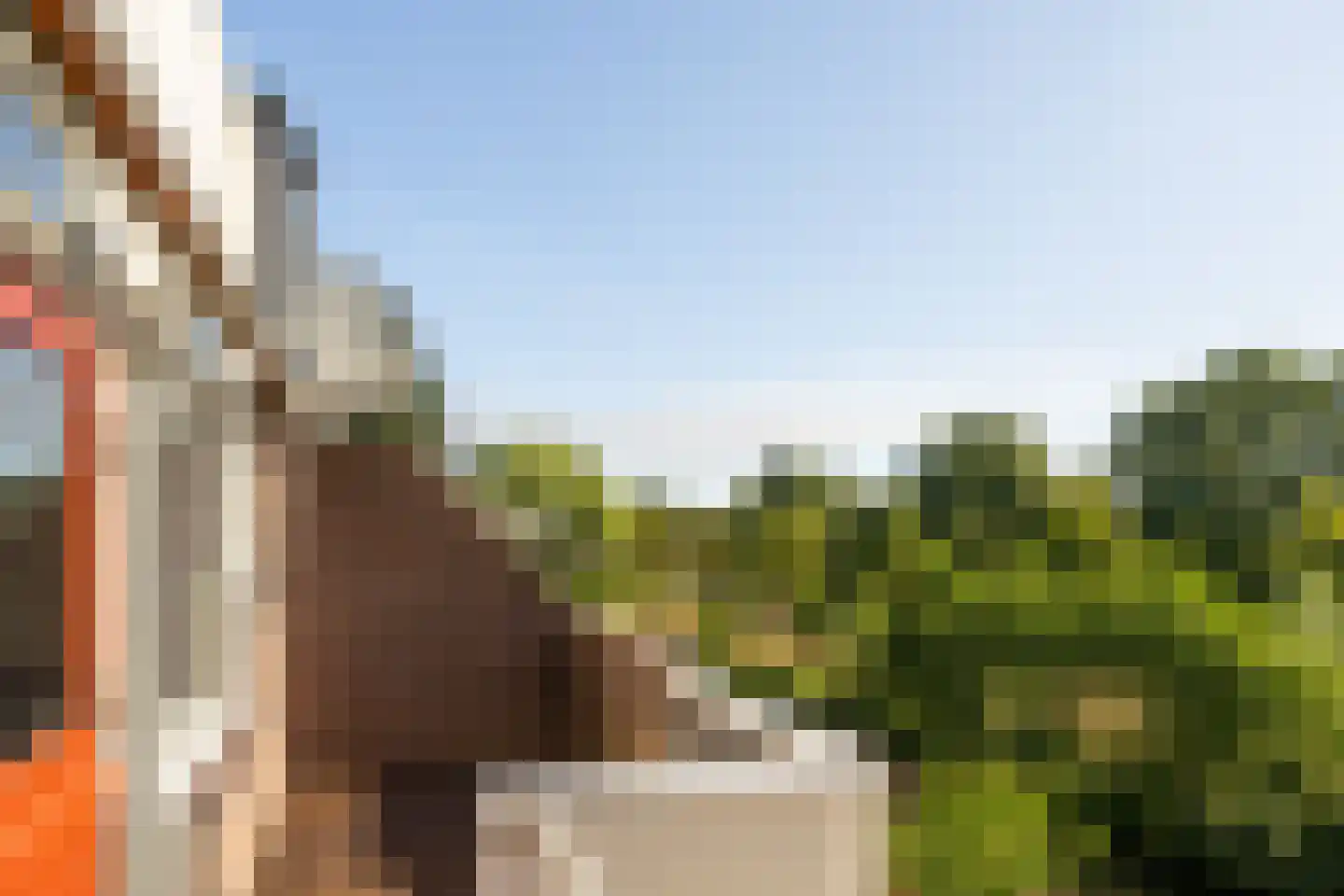 Stortemelk 60 Harderwijk thumbnail 20