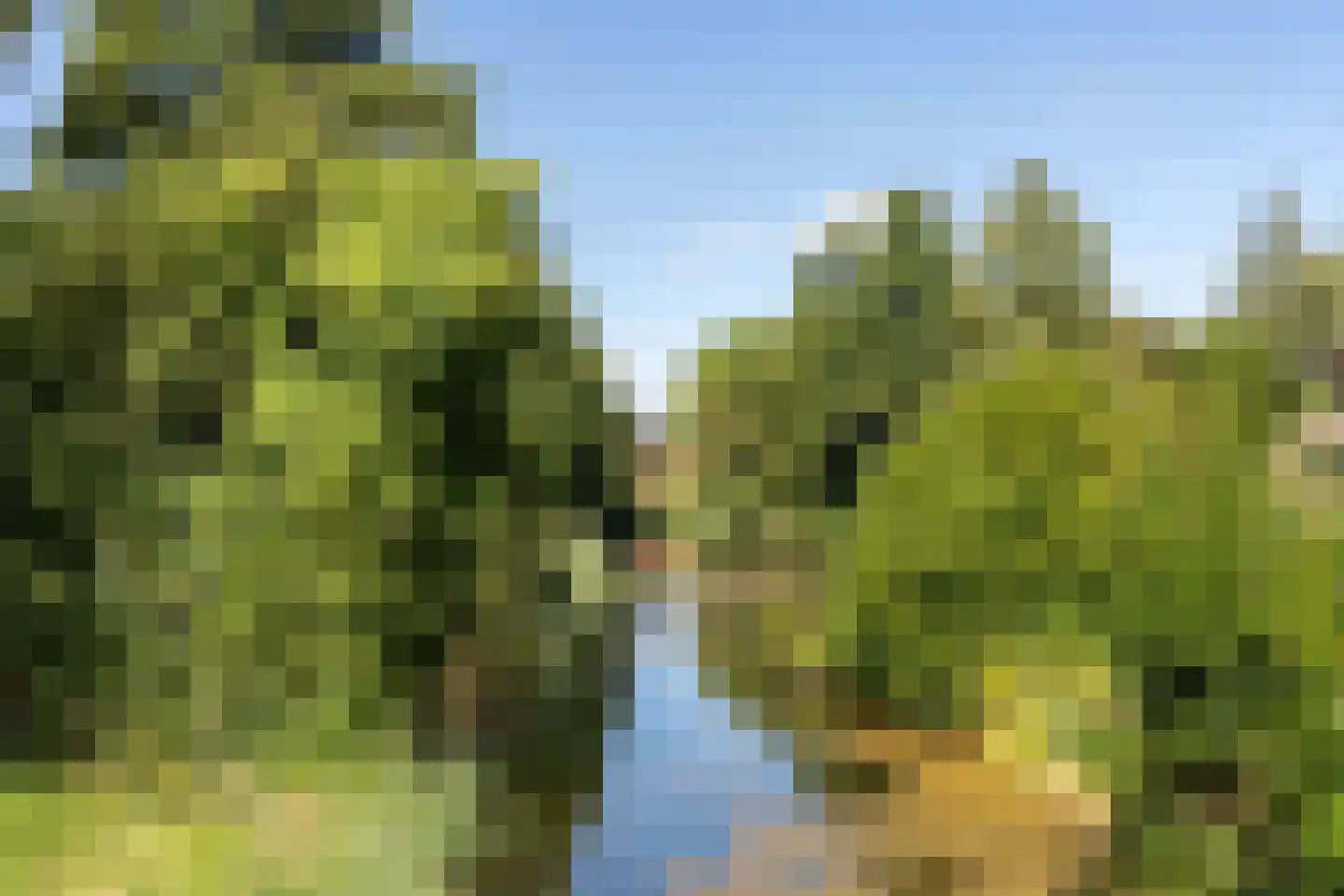 Stortemelk 60 Harderwijk thumbnail 37