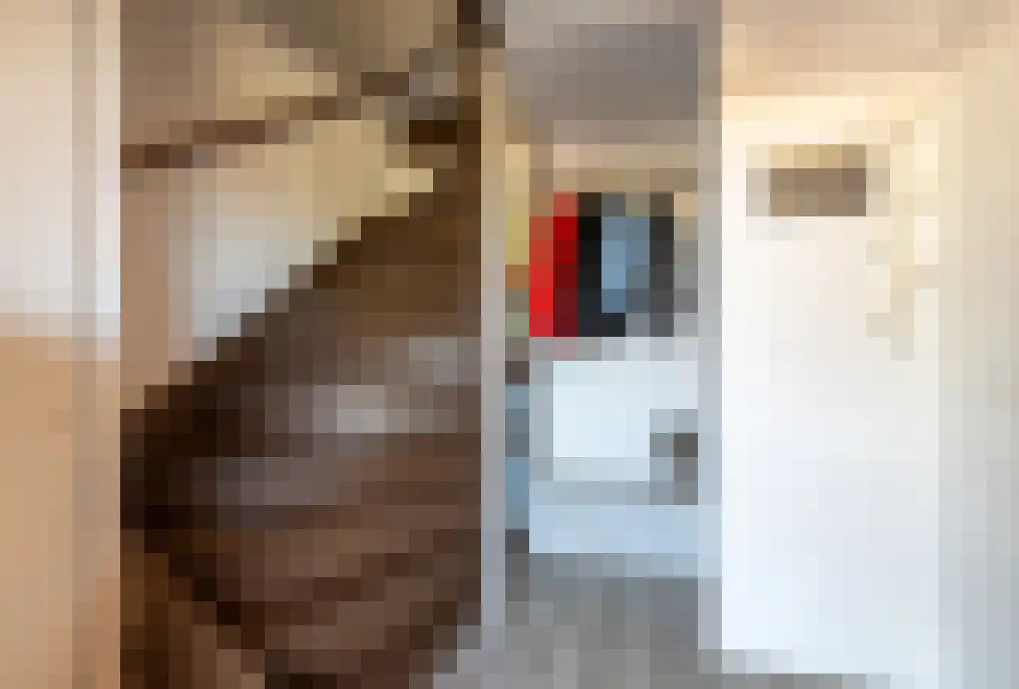 Stortemelk 60 Harderwijk thumbnail 6