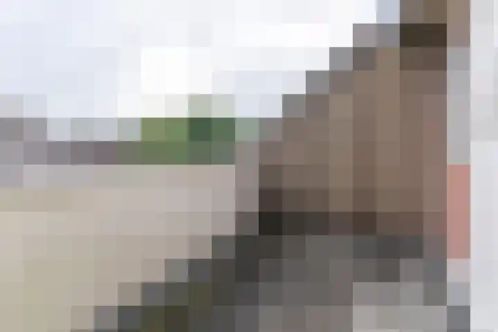 Stortemelk 72 Harderwijk thumbnail 23