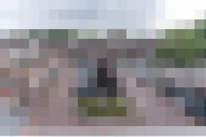 Stortemelk 72 Harderwijk thumbnail 25
