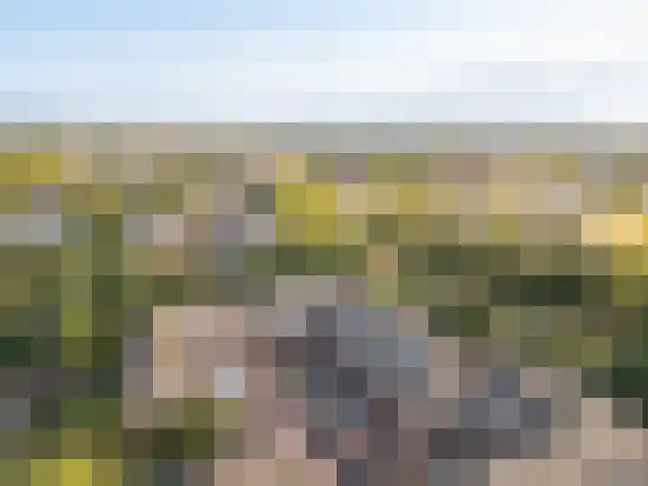 Stortemelk 72 Harderwijk thumbnail 27