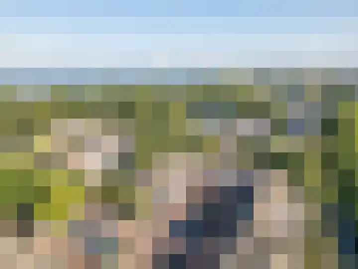 Stortemelk 72 Harderwijk thumbnail 28