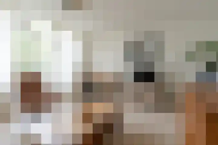 Stortemelk 72 Harderwijk thumbnail 7