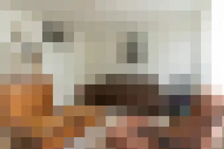 Stortemelk 72 Harderwijk thumbnail 8