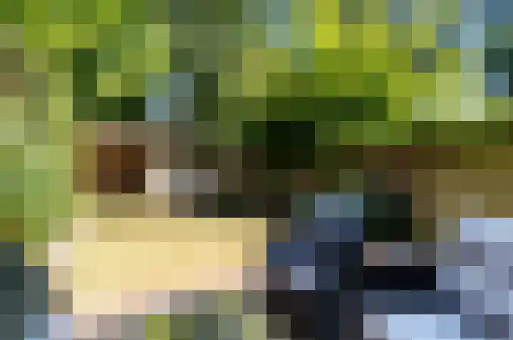 Stortemelk 9 Harderwijk thumbnail 27