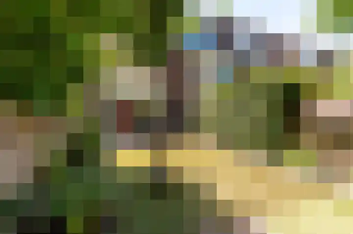 Stortemelk 9 Harderwijk thumbnail 28