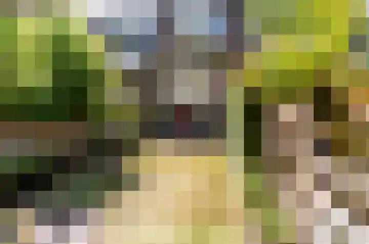 Stortemelk 9 Harderwijk thumbnail 43
