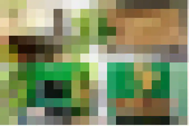 Stortemelk 9 Harderwijk thumbnail 8