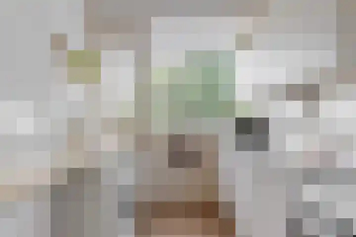 Stortemelk 94 Alphen aan den Rijn thumbnail 10