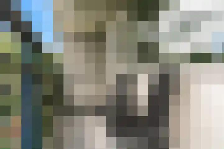 Stortemelk 94 Alphen aan den Rijn thumbnail 18