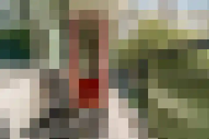 Stortemelk 94 Alphen aan den Rijn thumbnail 19