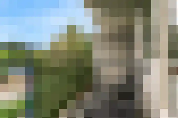 Stortemelk 94 Alphen aan den Rijn thumbnail 5