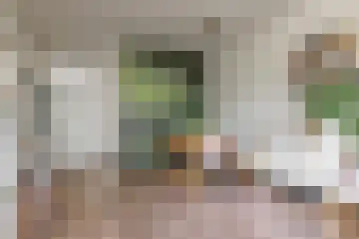 Stortemelk 94 Alphen aan den Rijn thumbnail 9