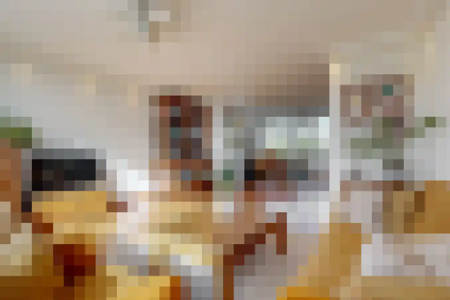 Stortenbekerstraat 11 Nieuwkoop thumbnail 18