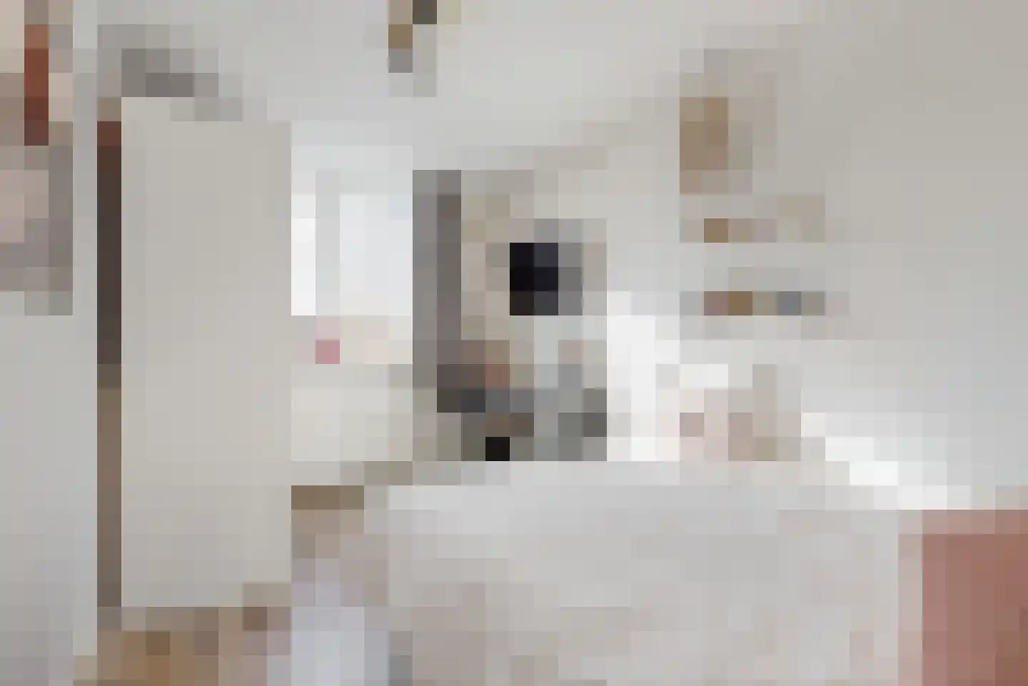 Stortenbekerstraat 11 Nieuwkoop thumbnail 31