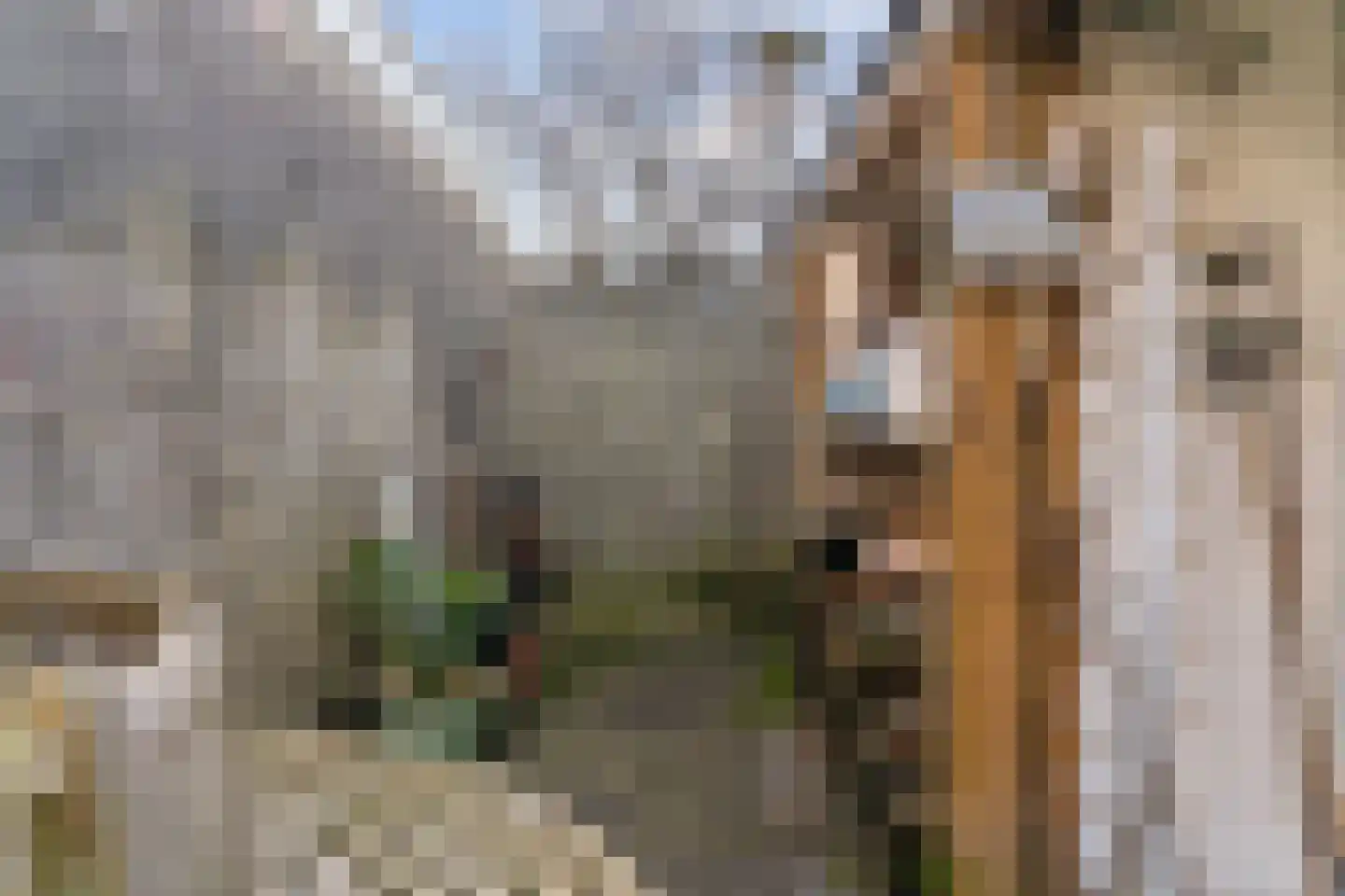 Stortenbekerstraat 11 Nieuwkoop thumbnail 41