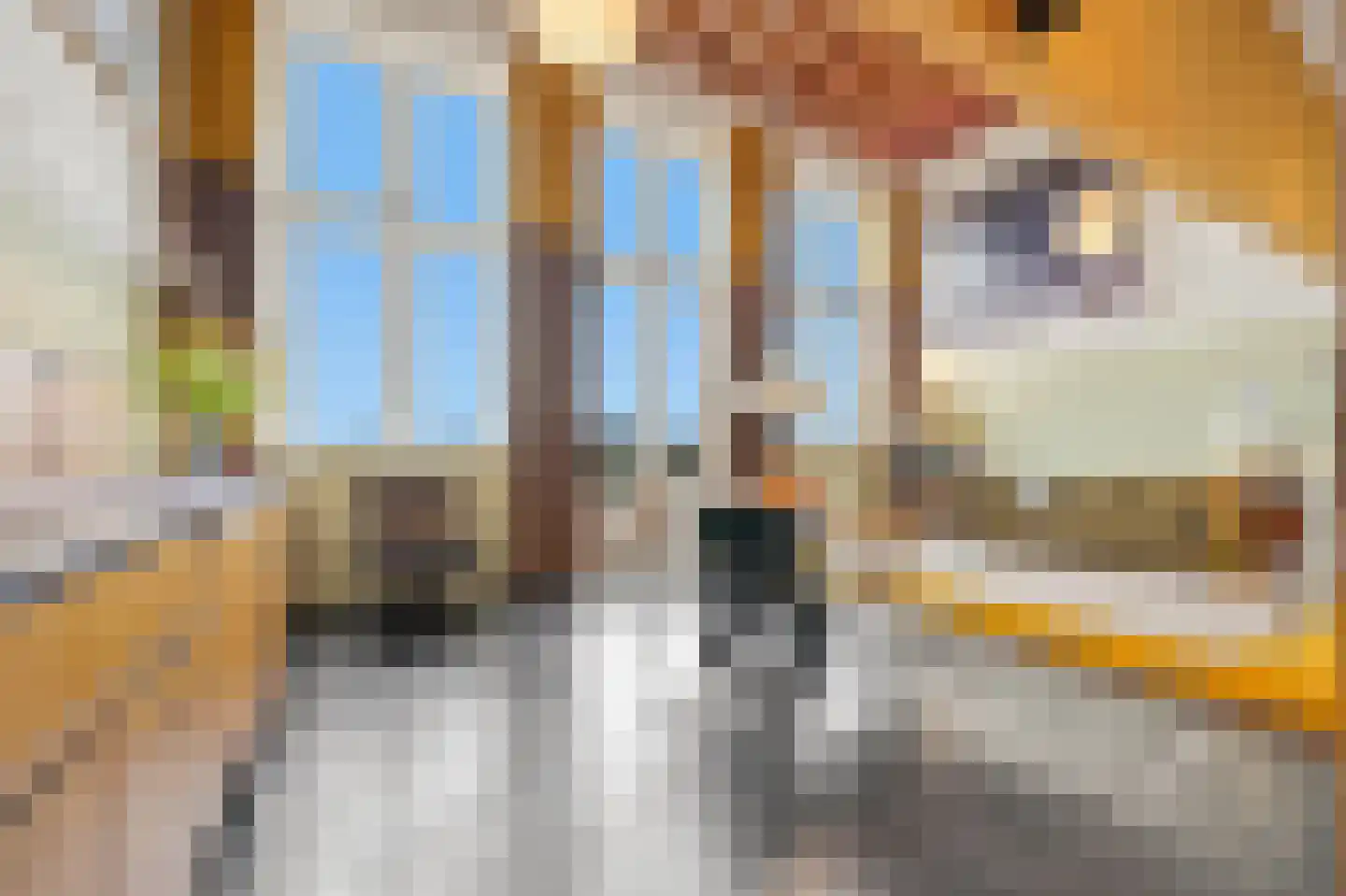 Stortenbekerstraat 219 Den Haag thumbnail 22