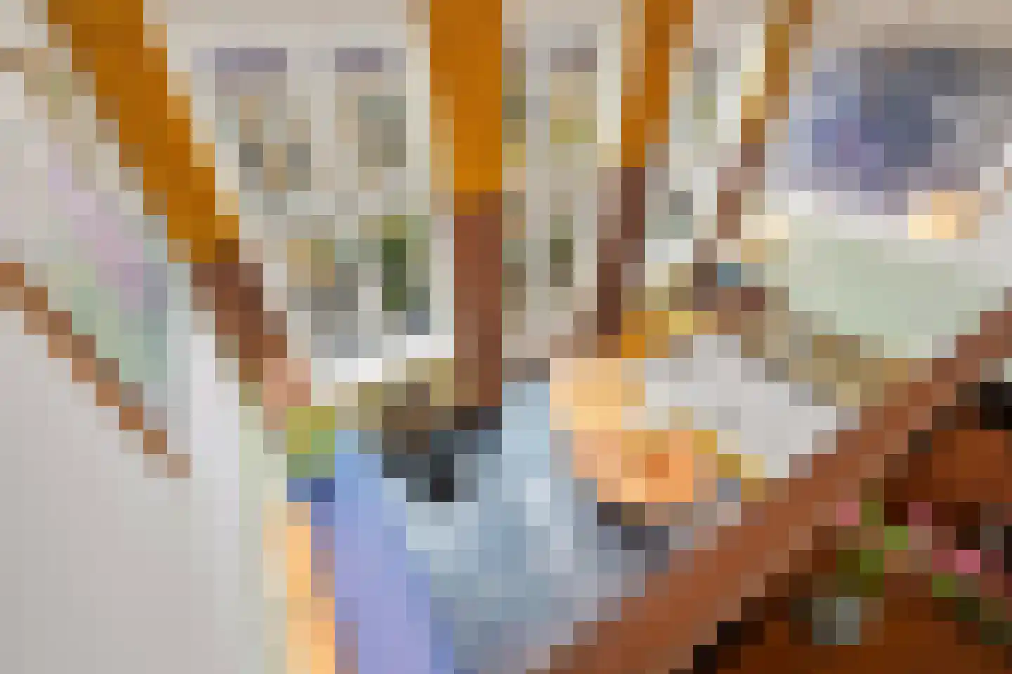 Stortenbekerstraat 219 Den Haag thumbnail 5