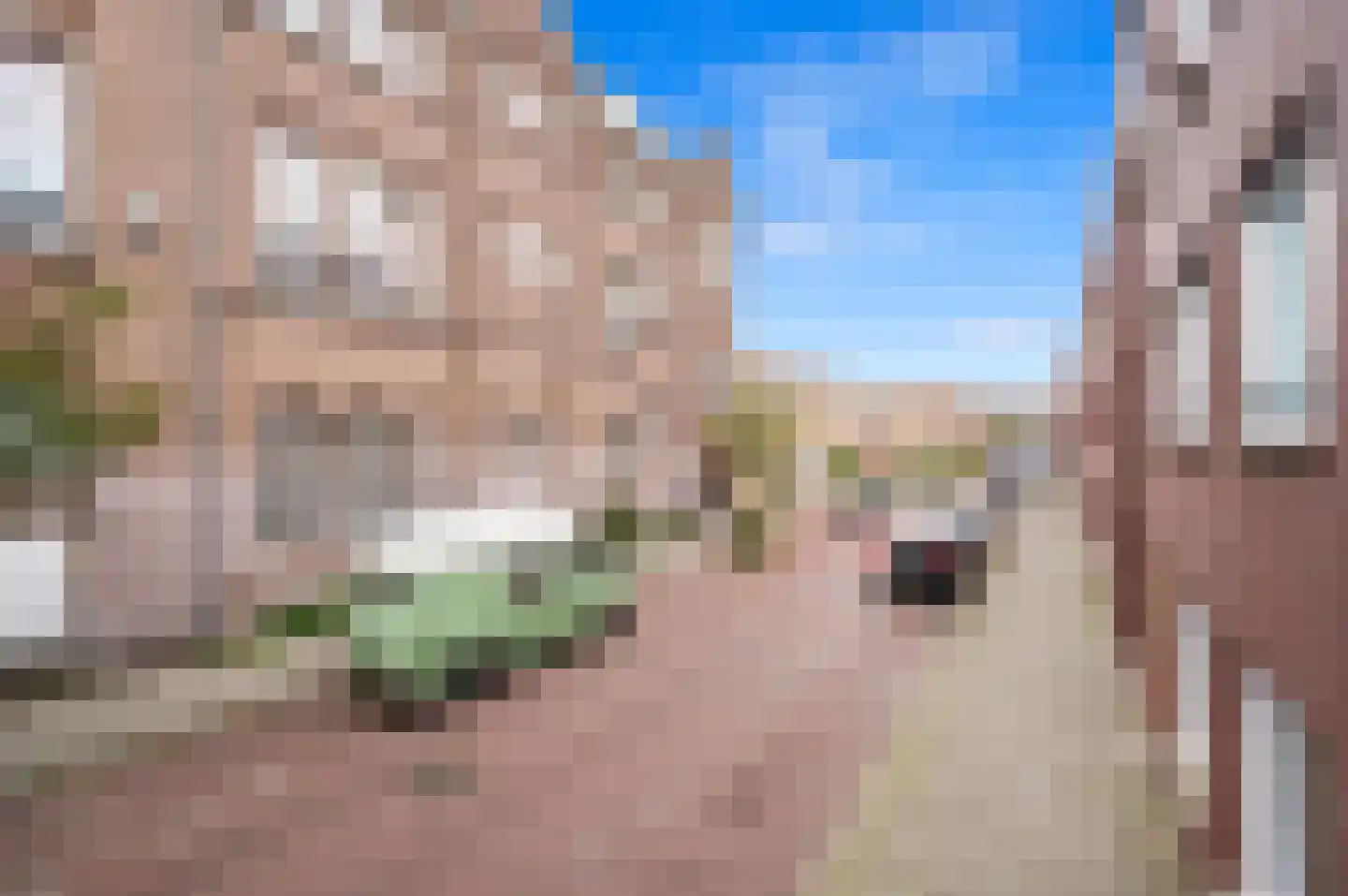 Stortenbekerstraat 219 Den Haag thumbnail 69