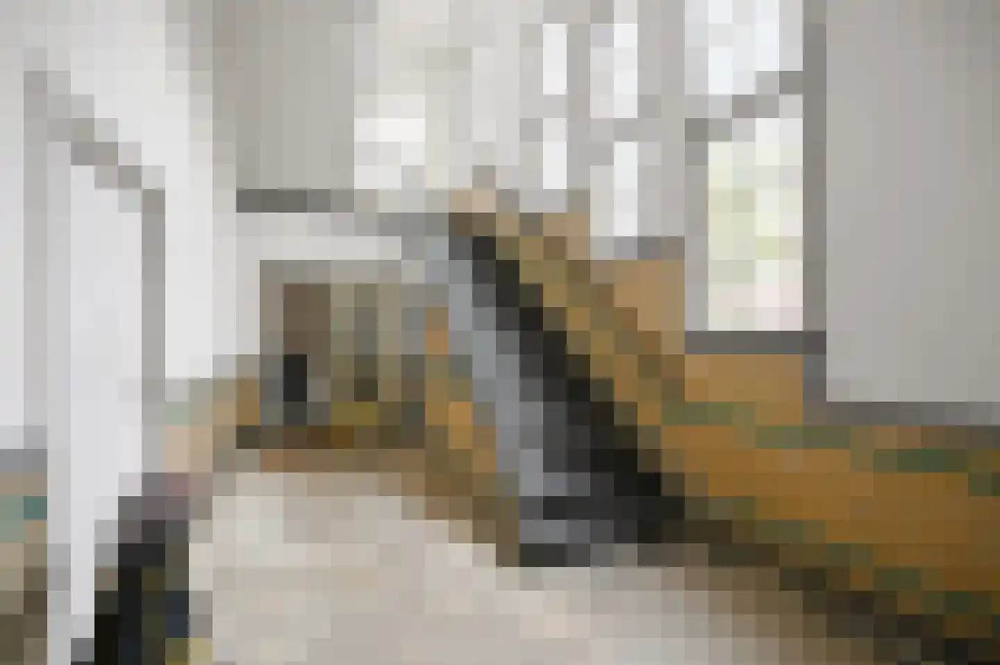 Stortenbekerstraat 219 Den Haag thumbnail 7