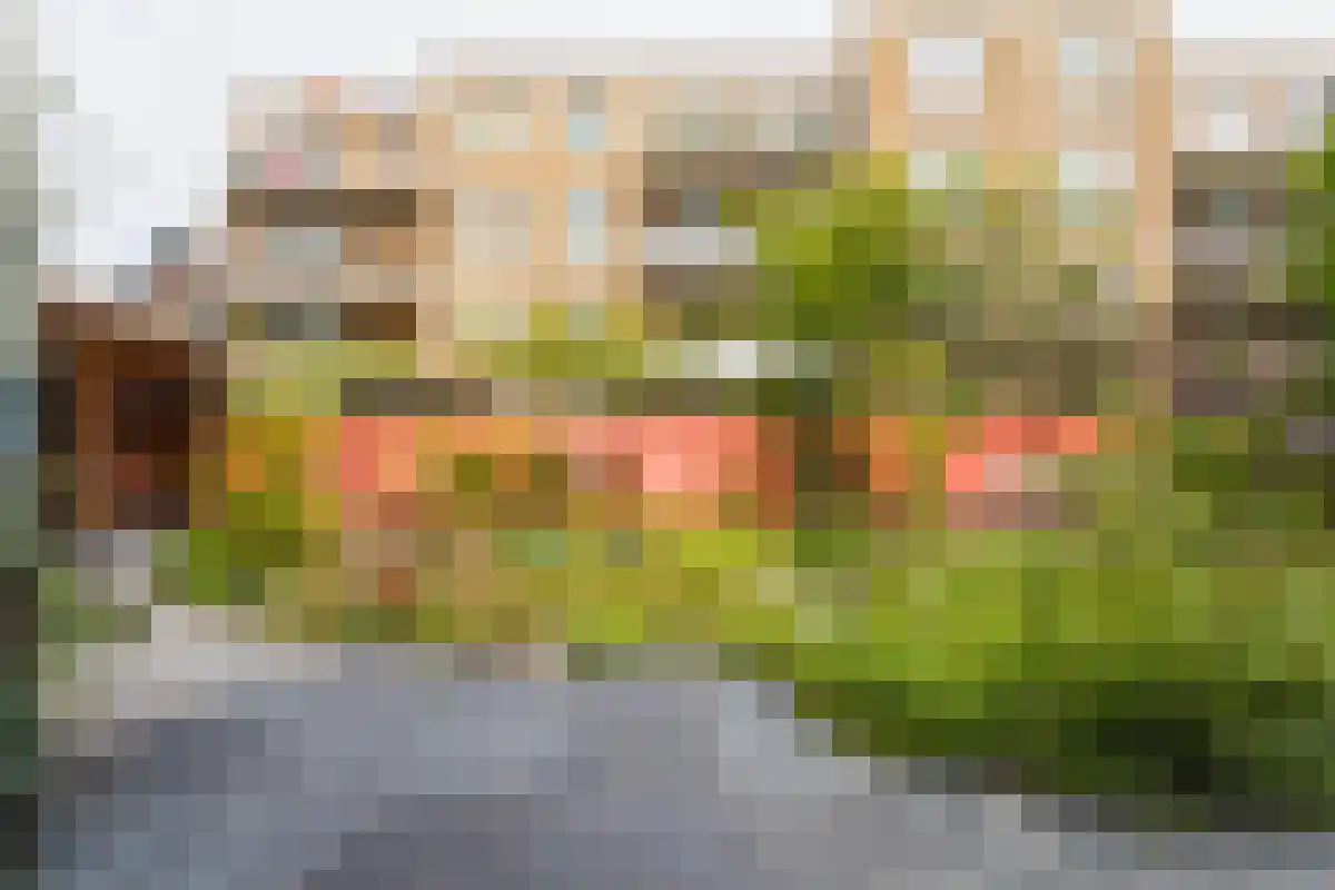 Stortenbekerstraat 227 Den Haag thumbnail 4