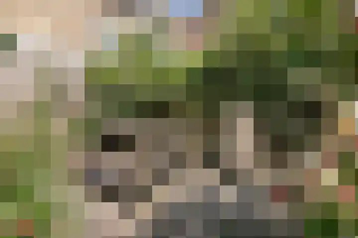Stortenbekerstraat 233 Den Haag thumbnail 53