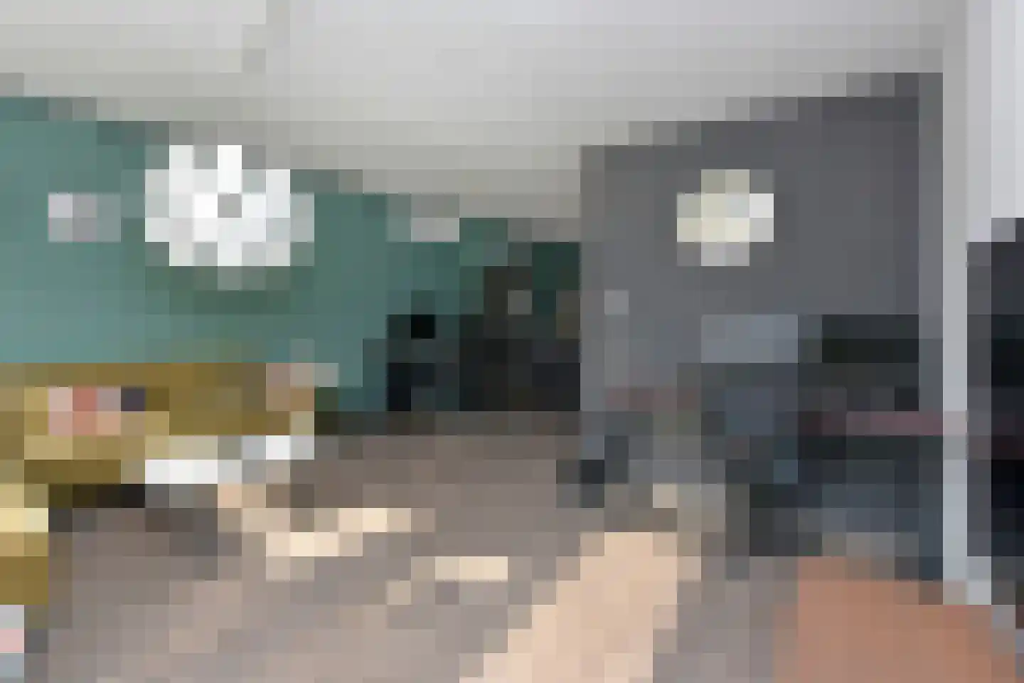 Stortenbekerstraat 27 Nieuwkoop thumbnail 10