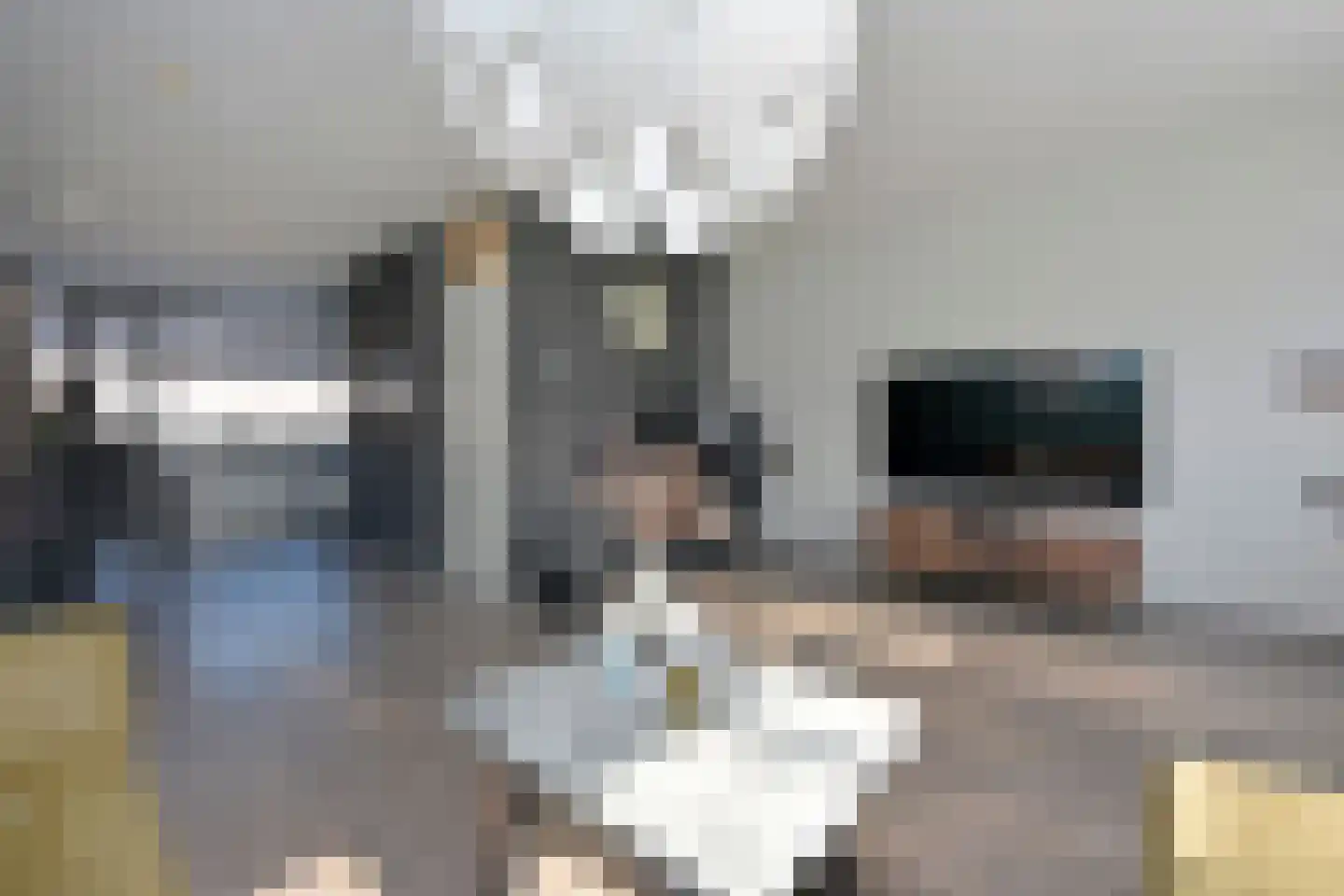 Stortenbekerstraat 27 Nieuwkoop thumbnail 11