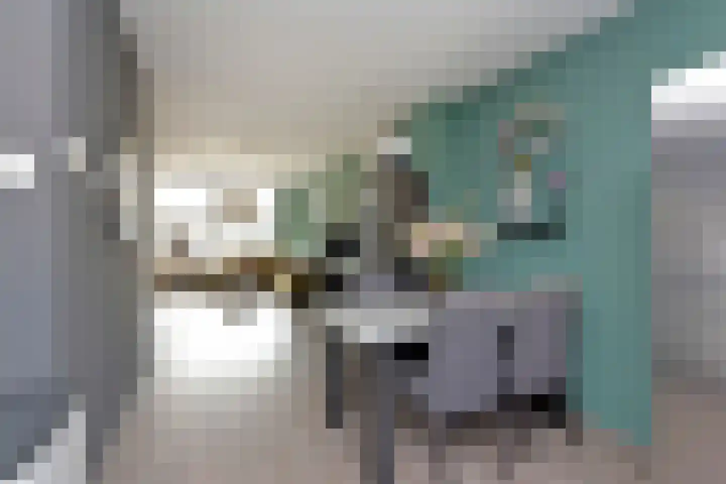Stortenbekerstraat 27 Nieuwkoop thumbnail 5