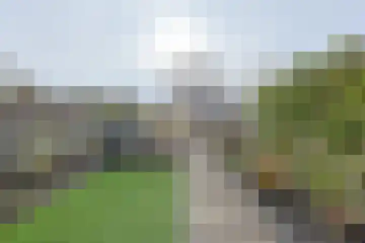 Stortenbekerstraat 3 Nieuwkoop thumbnail 15