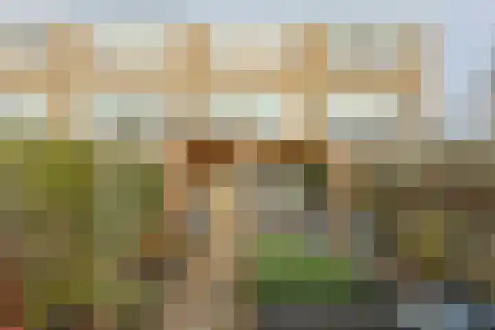 Stortenbekerstraat 3 Nieuwkoop thumbnail 17