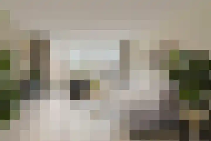 Stortenbekerstraat 3 Nieuwkoop thumbnail 20