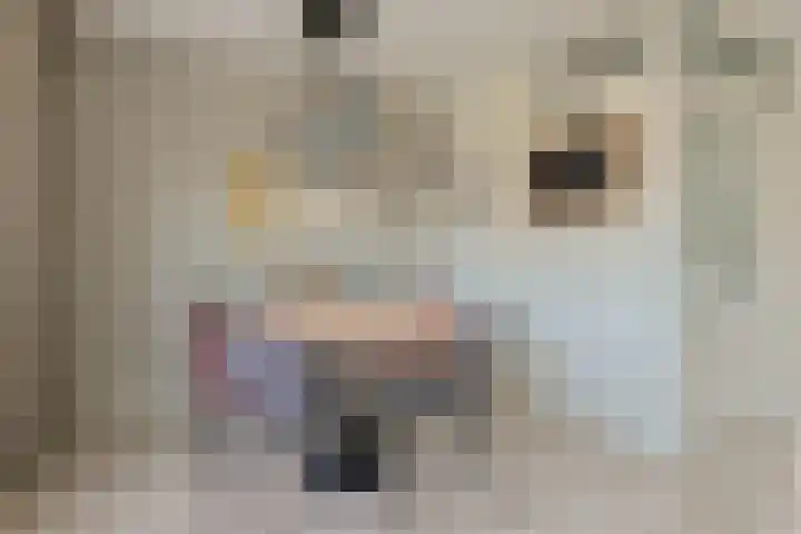 Stortenbekerstraat 3 Nieuwkoop thumbnail 29