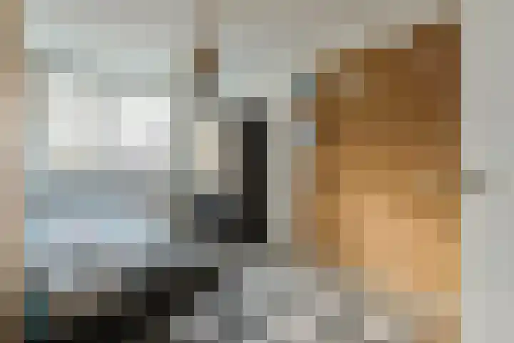 Stortenbekerstraat 3 Nieuwkoop thumbnail 35