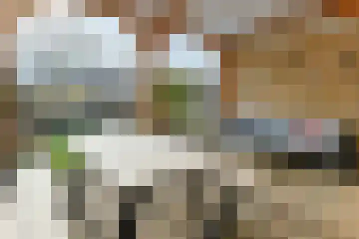 Stortenbekerstraat 3 Nieuwkoop thumbnail 4