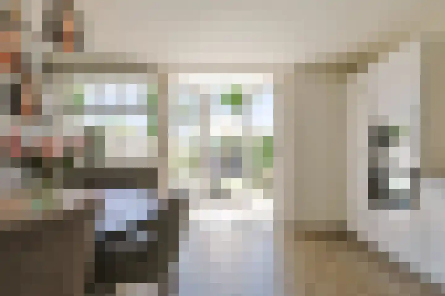 Stortenbekerstraat 55 Nieuwkoop thumbnail 11