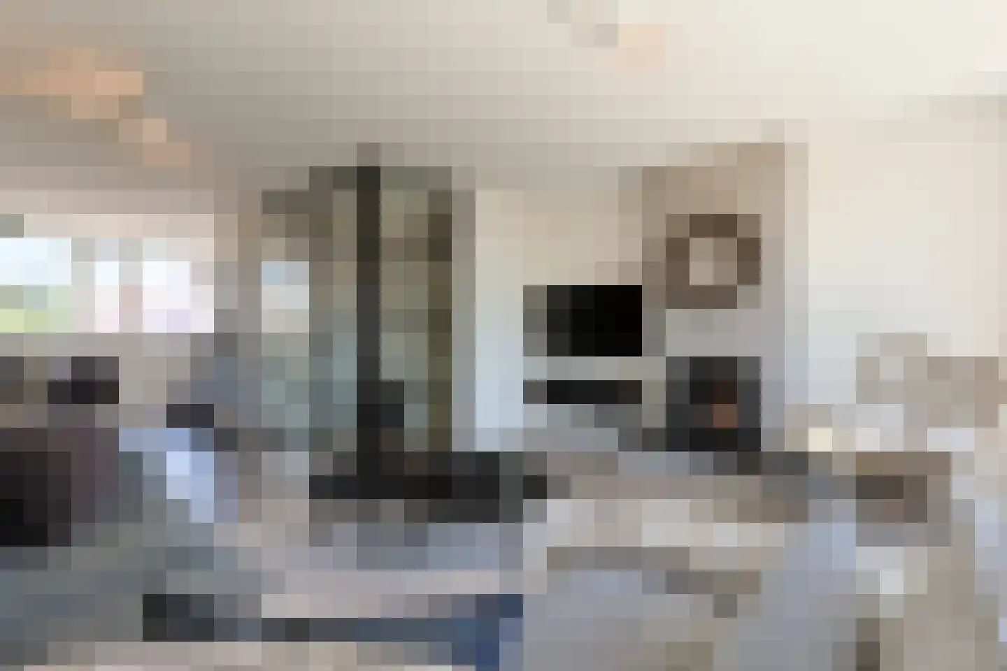 Stortenbekerstraat 55 Nieuwkoop thumbnail 18
