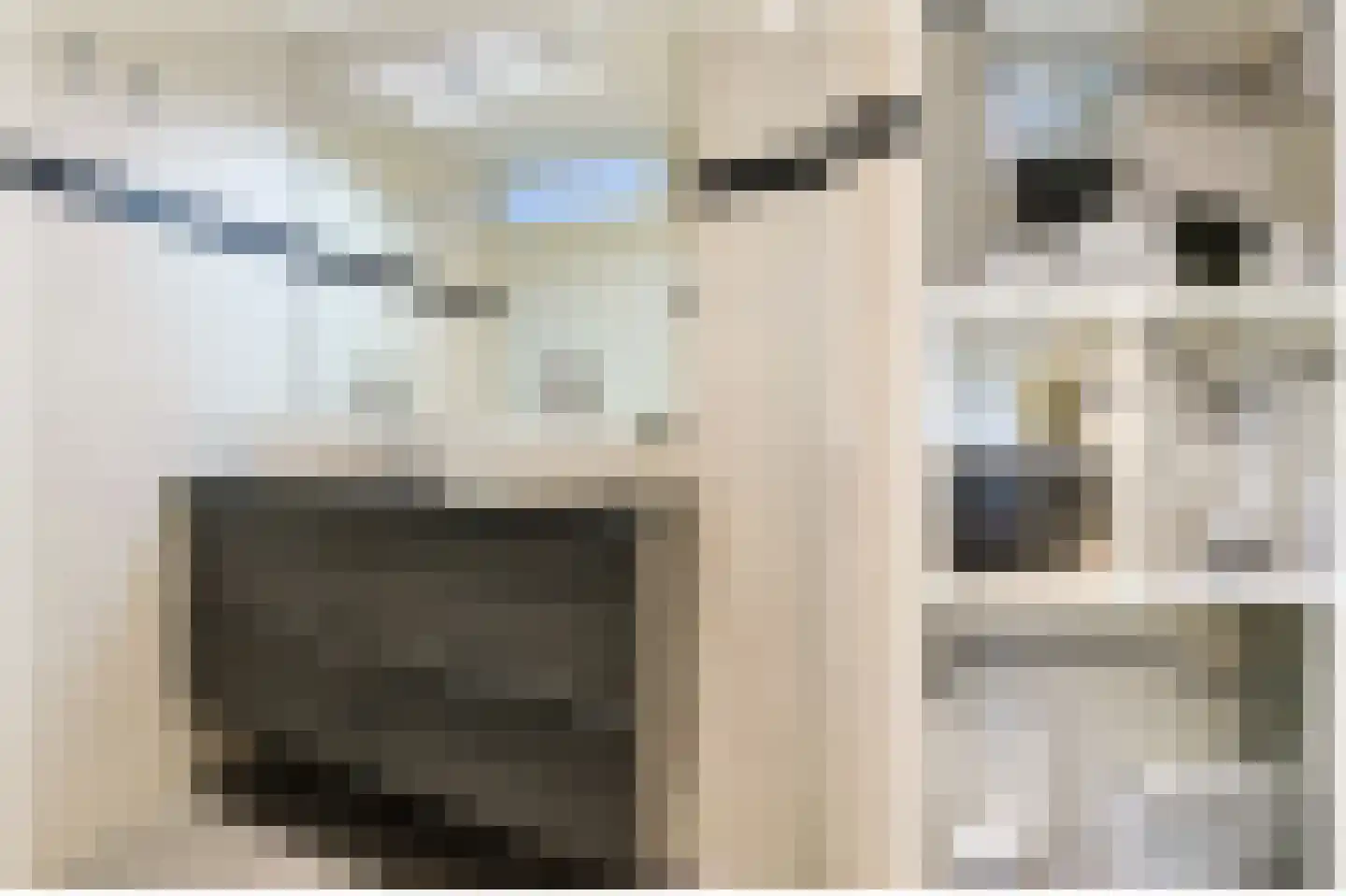 Stortenbekerstraat 55 Nieuwkoop thumbnail 32