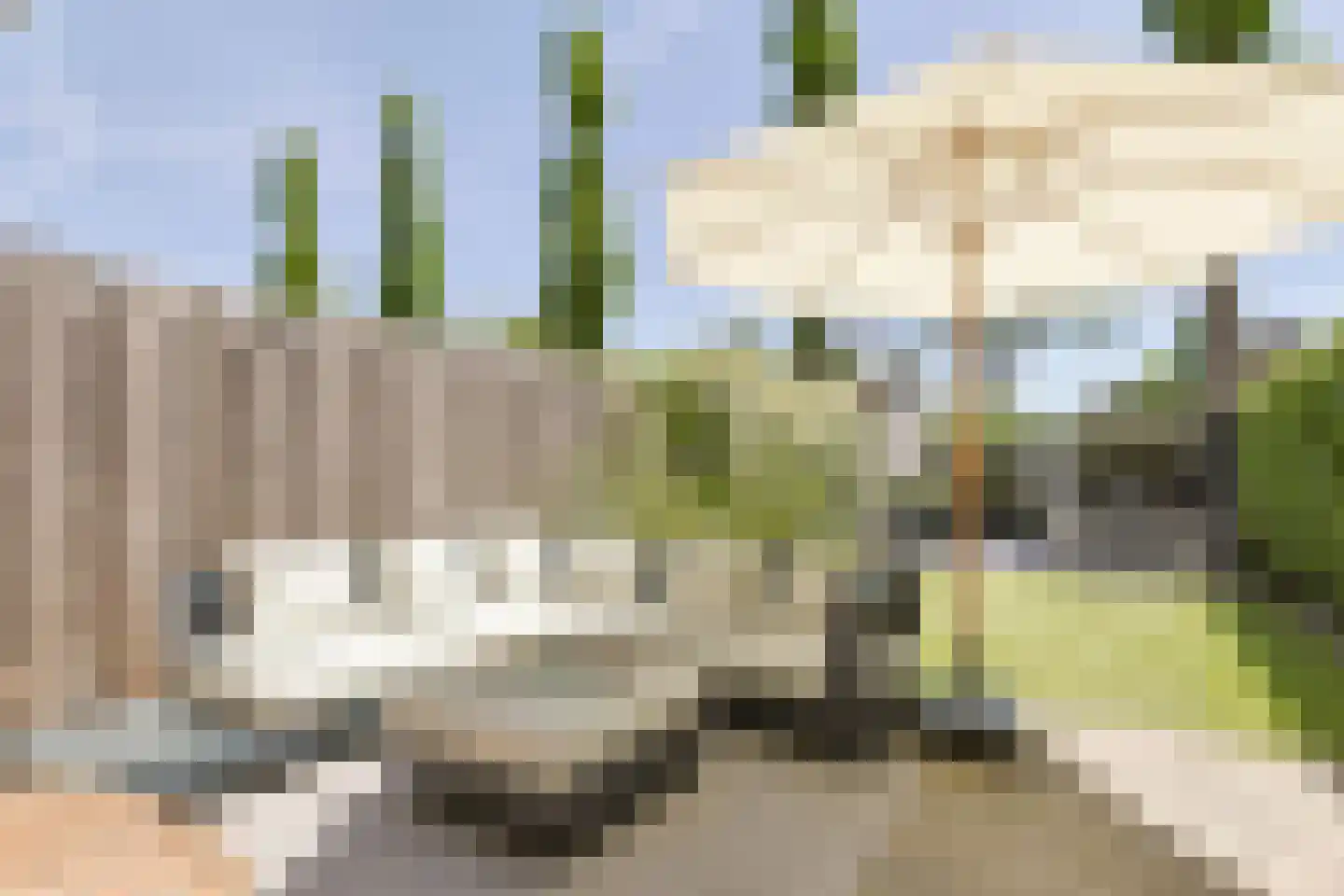 Stortenbekerstraat 55 Nieuwkoop thumbnail 4