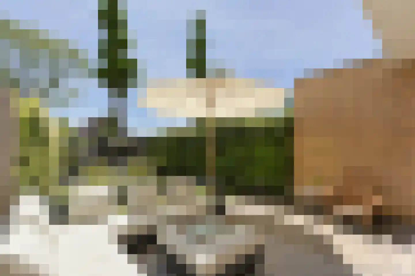 Stortenbekerstraat 55 Nieuwkoop thumbnail 40
